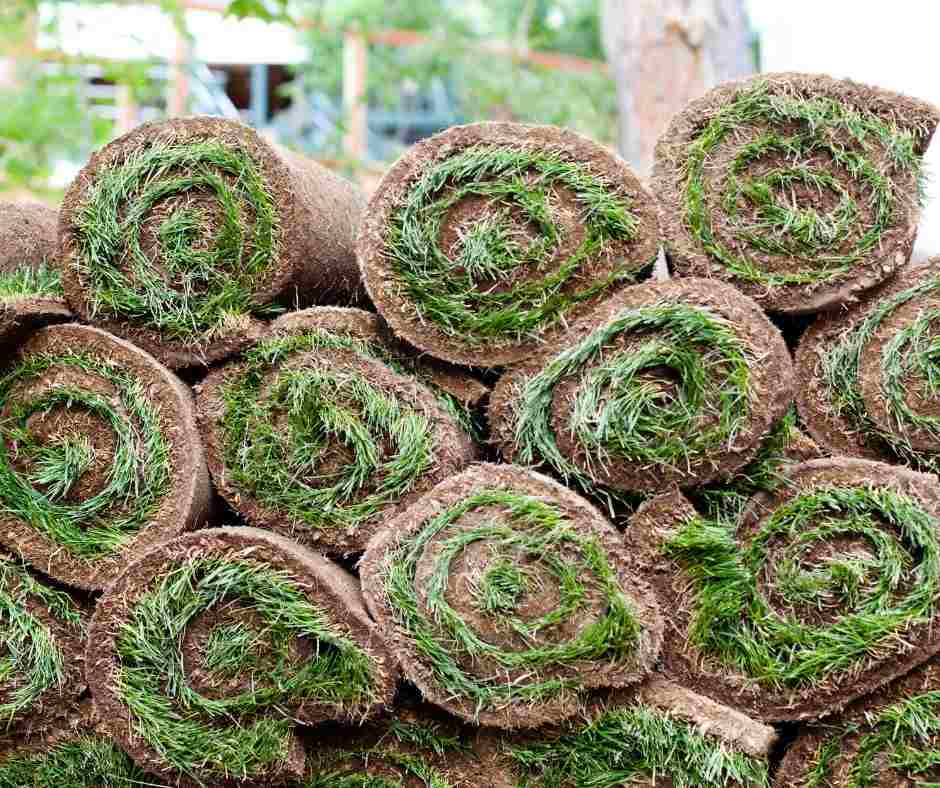Quality Turf Laying Service For Residential Property In Brisbane